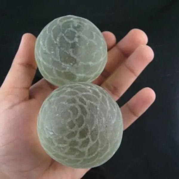 Sea Snake Pearl - Type B2