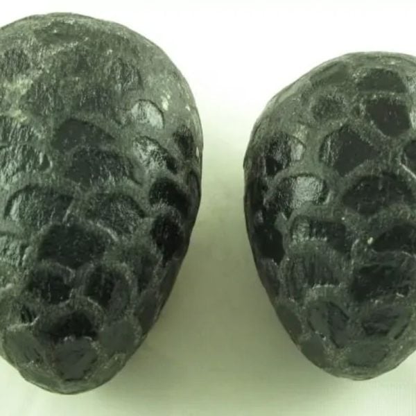 Sea Snake Pearl - Type G2 (Black Serpent) - Image 2