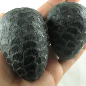 Sea Snake Pearl - Type G2 (Black Serpent)