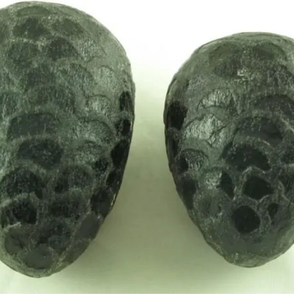 Sea Snake Pearl - Type G2 (Black Serpent)