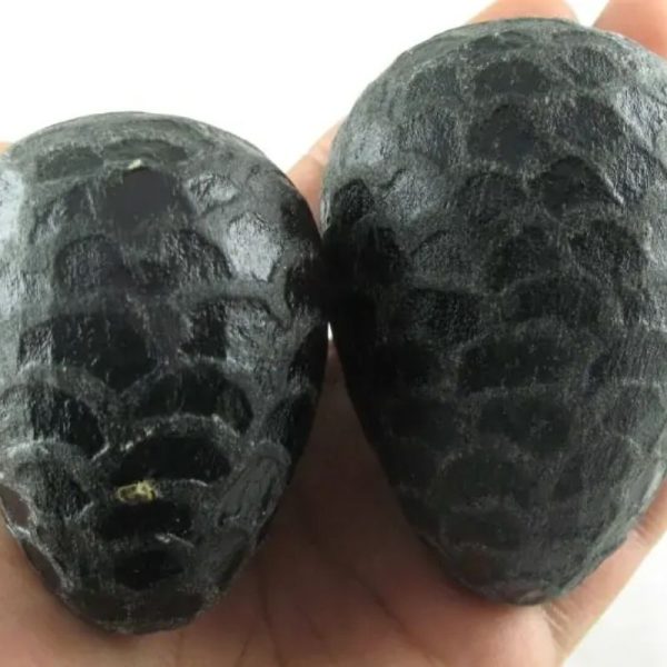 Sea Snake Pearl - Type G2 (Black Serpent)