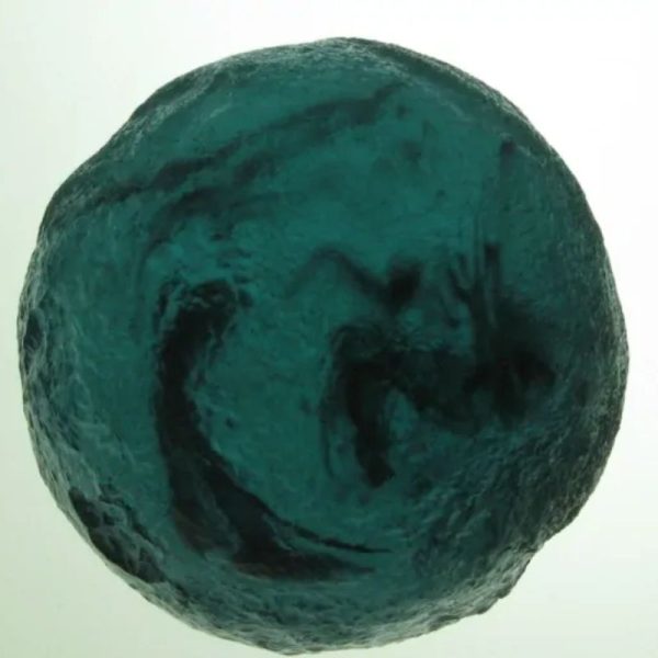 Sea Snake Pearl - Type C2