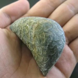 Leaf Sanca Snake Pearl - Type E4
