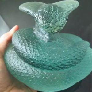 Snake Fossil - SF 87 (Crystal)