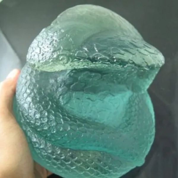 Snake Fossil - SF 87 (Crystal)