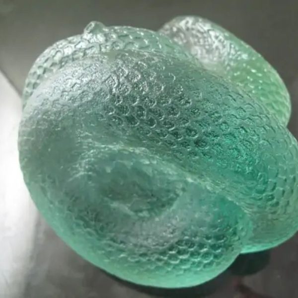 Snake Fossil - SF 87 (Crystal)