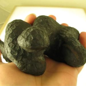 Snake Fossils G2