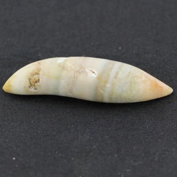 White Biawak Lizard Pearls - Type A3