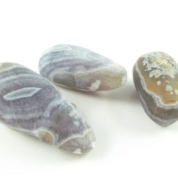 Super Honey Pearls - Type A3 - Image 4