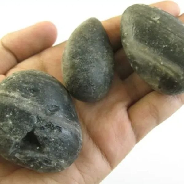 Deer Pearl - Type U2 (Wulung Deer)