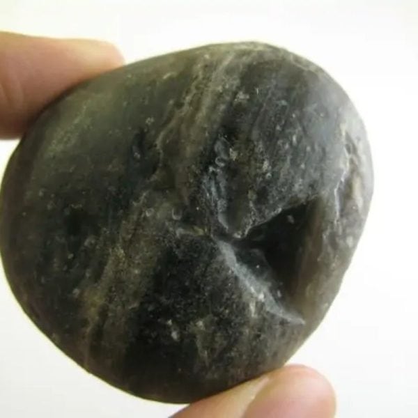 Deer Pearl - Type U2 (Wulung Deer)