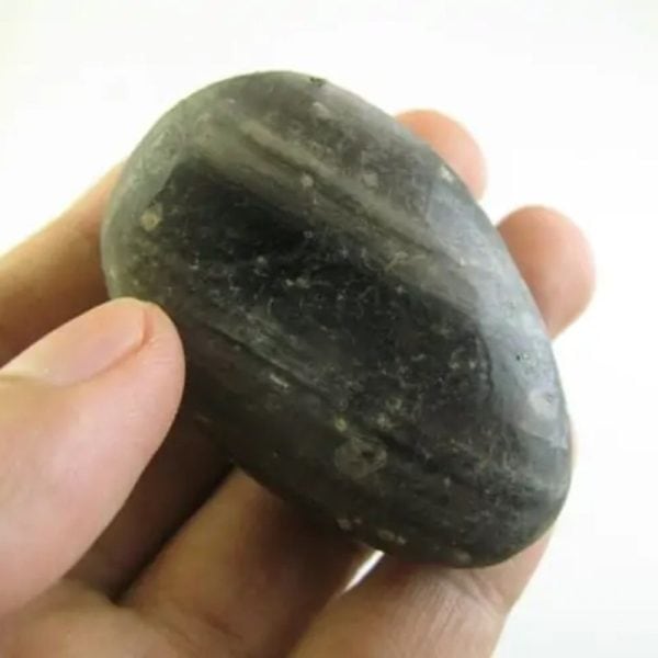 Deer Pearl - Type U2 (Wulung Deer)