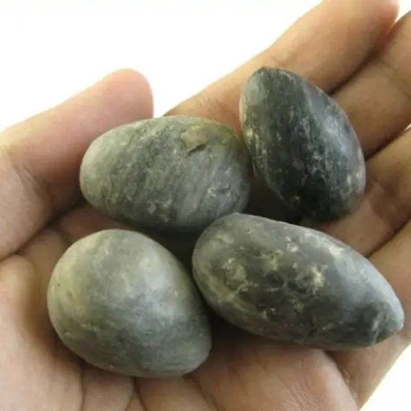 Deer Pearl - Type U3 (Wulung Deer)