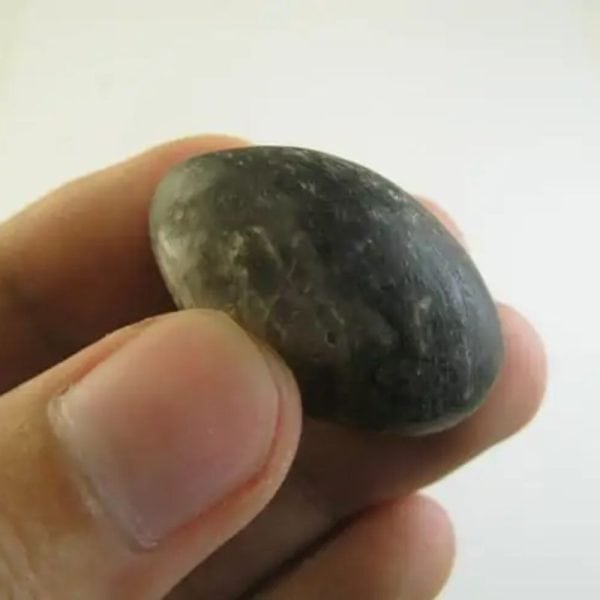 Deer Pearl - Type U3 (Wulung Deer) - Image 2