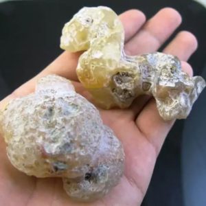 Fossilized Agarwood/Gaharu - Type C1 (Sap)