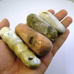 Fossilized Agarwood/Gaharu - Type H1 (Red)