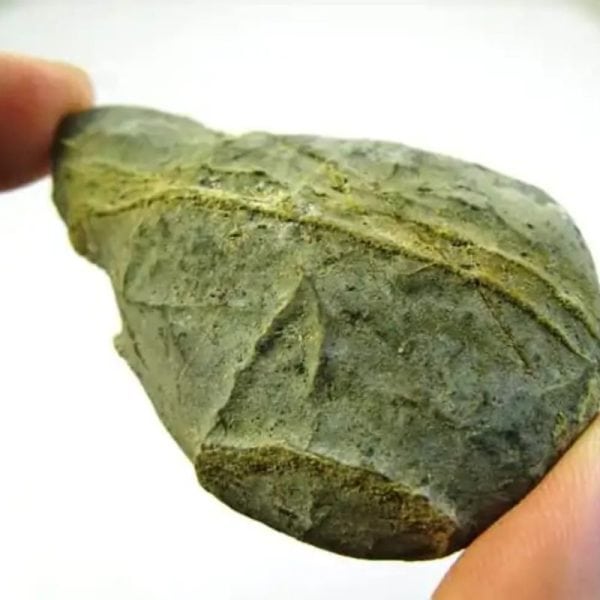 Fossilized Agarwood/Gaharu - Type G1 - Image 2