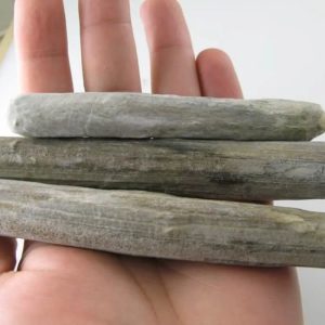 \Fossilized Agarwood/Gaharu - Type E3