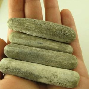 Nagasari Wood Fossil - Type A (Cylinder Shape)