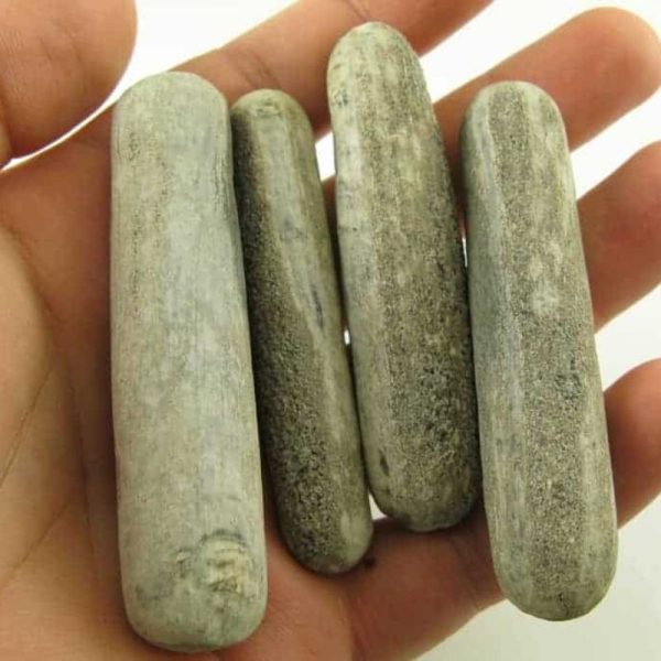 Nagasari Wood Fossil - Type A (Cylinder Shape) - Image 2