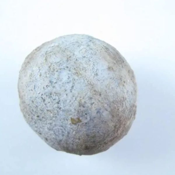 Nagasari Tree Seed Pearl - Type A3