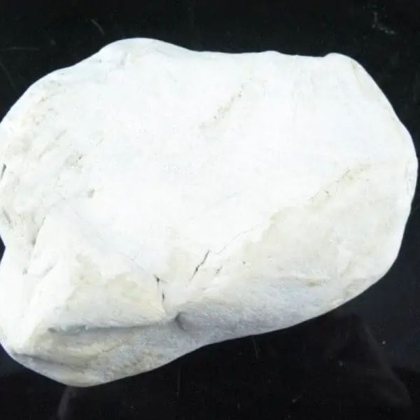 Nagasari Wood Fossil - Type C2