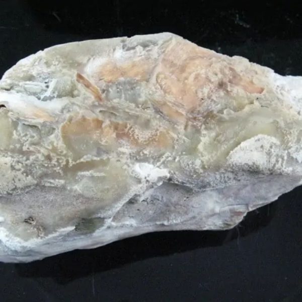 Nagasari Wood Fossil - Type C3 - Image 5