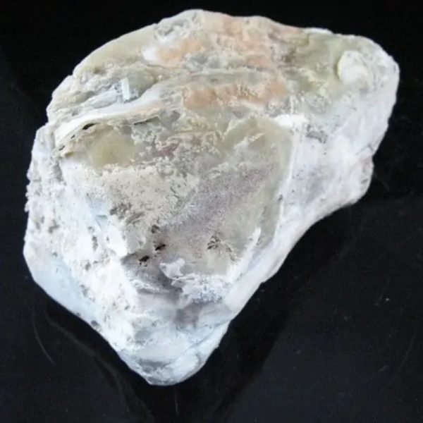 Nagasari Wood Fossil - Type C3 - Image 4
