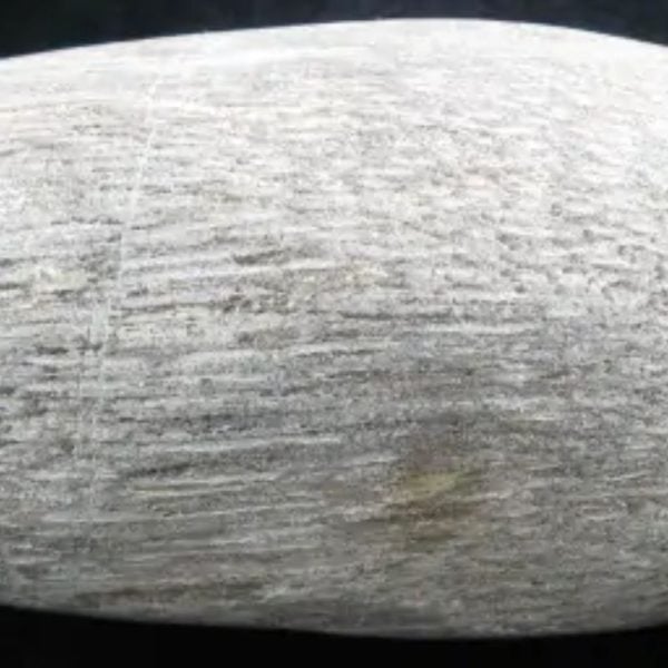 Nagasari Wood Pearl B1 - Fossilized - - Image 2