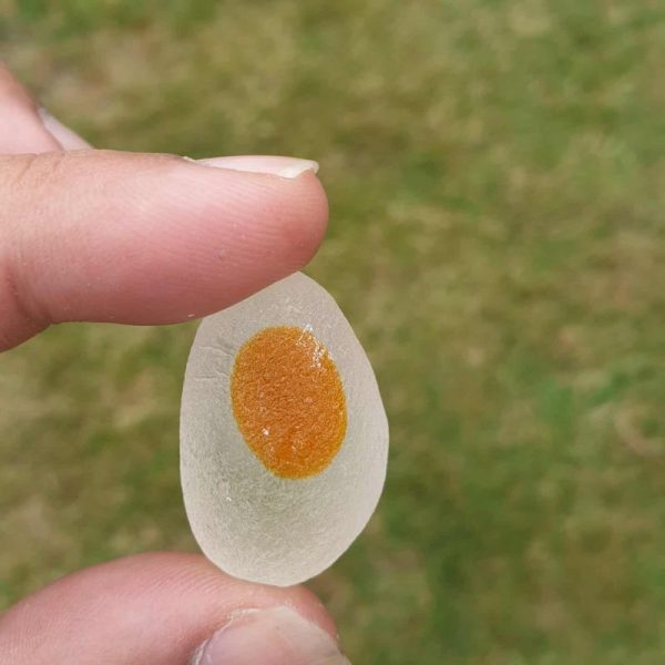 Brahma Eel Pearl A2 - White Crystal/Orange