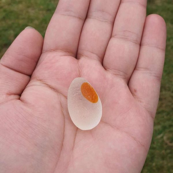 Brahma Eel Pearl A2 - White Crystal/Orange - Image 3