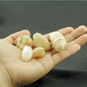 Fish Mustika Pearls - Type A