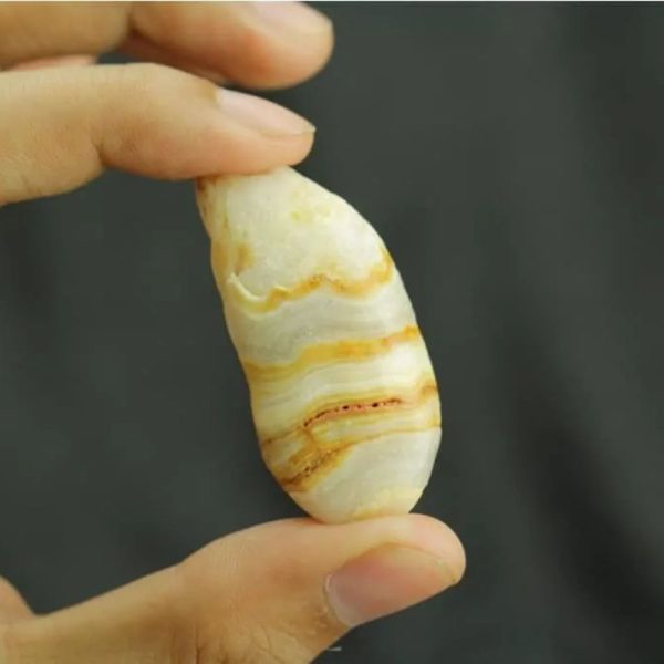 Fish Mustika Pearls - Type A - Image 4