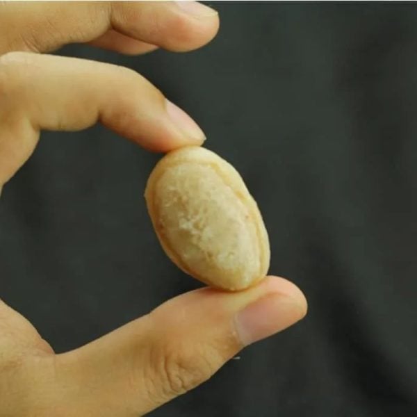 Fish Mustika Pearls - Type A - Image 2