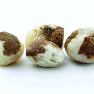 Barong Fish Pearls - Type A1