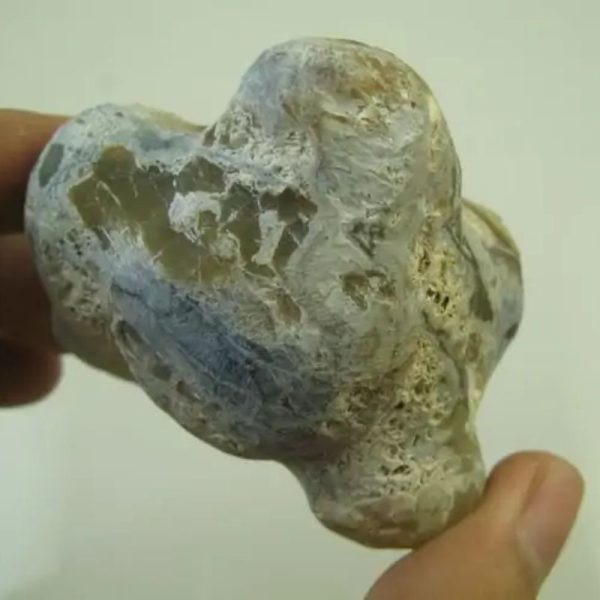 Fish Pearls - Type G1 - Image 3