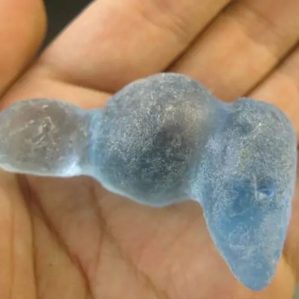 Fish Pearl - Type E1
