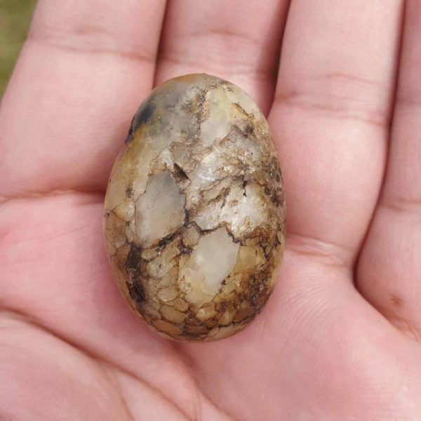 Fish Pearl - Type A - Image 3