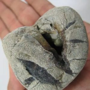 Gung Bee Honey Fossil Stones - Type A2 done