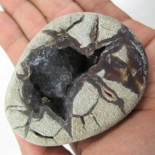 Gung Bee Honey Fossil Stones - Type A2 done