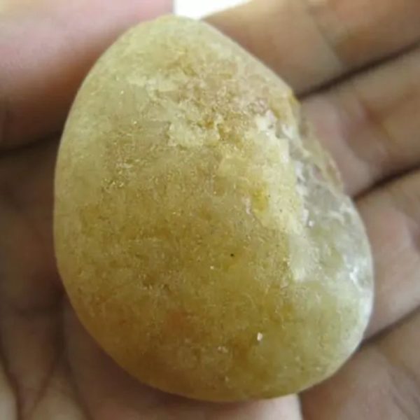 Honey Pearls - Type K1 - Image 2