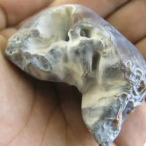 Honey Pearl - Type L5 (Super Honey Fossil) Done