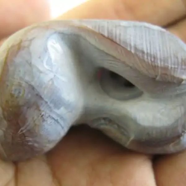 Honey Pearl - Type L5 (Super Honey Fossil) Done