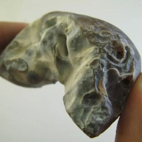 Honey Pearl - Type L5 (Super Honey Fossil) Done