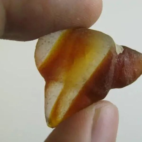 Honey Pearls - Type M5 - Image 2