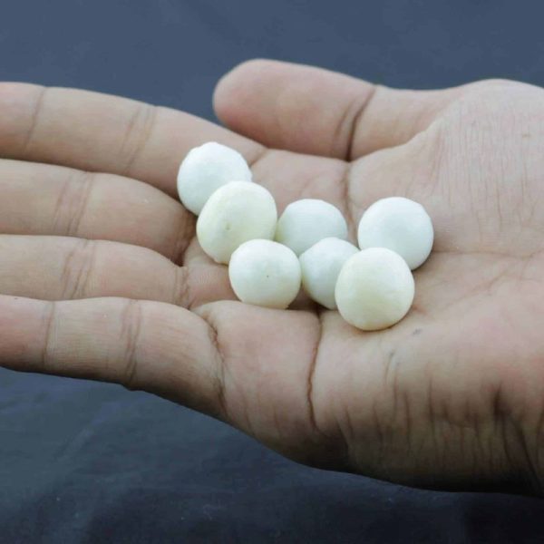 White Honey Pearls - Type O Done