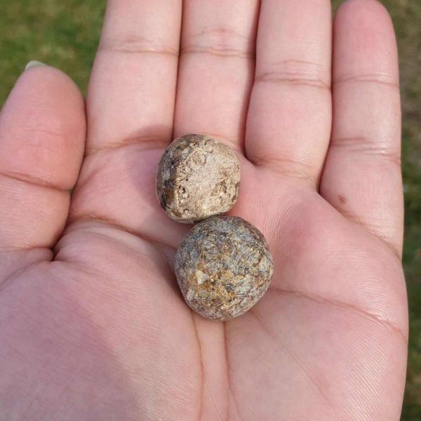 Porcupine Pearls - Type D1