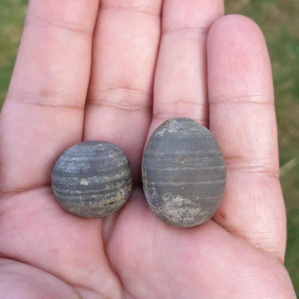 Porcupine Pearls - Type D2