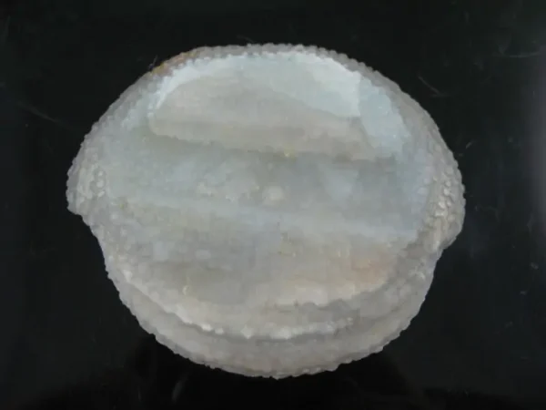Python Crown Pearls - Type C1 (Large) - Image 5