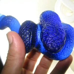 Snake Fossil - SF 62 (Crystal)